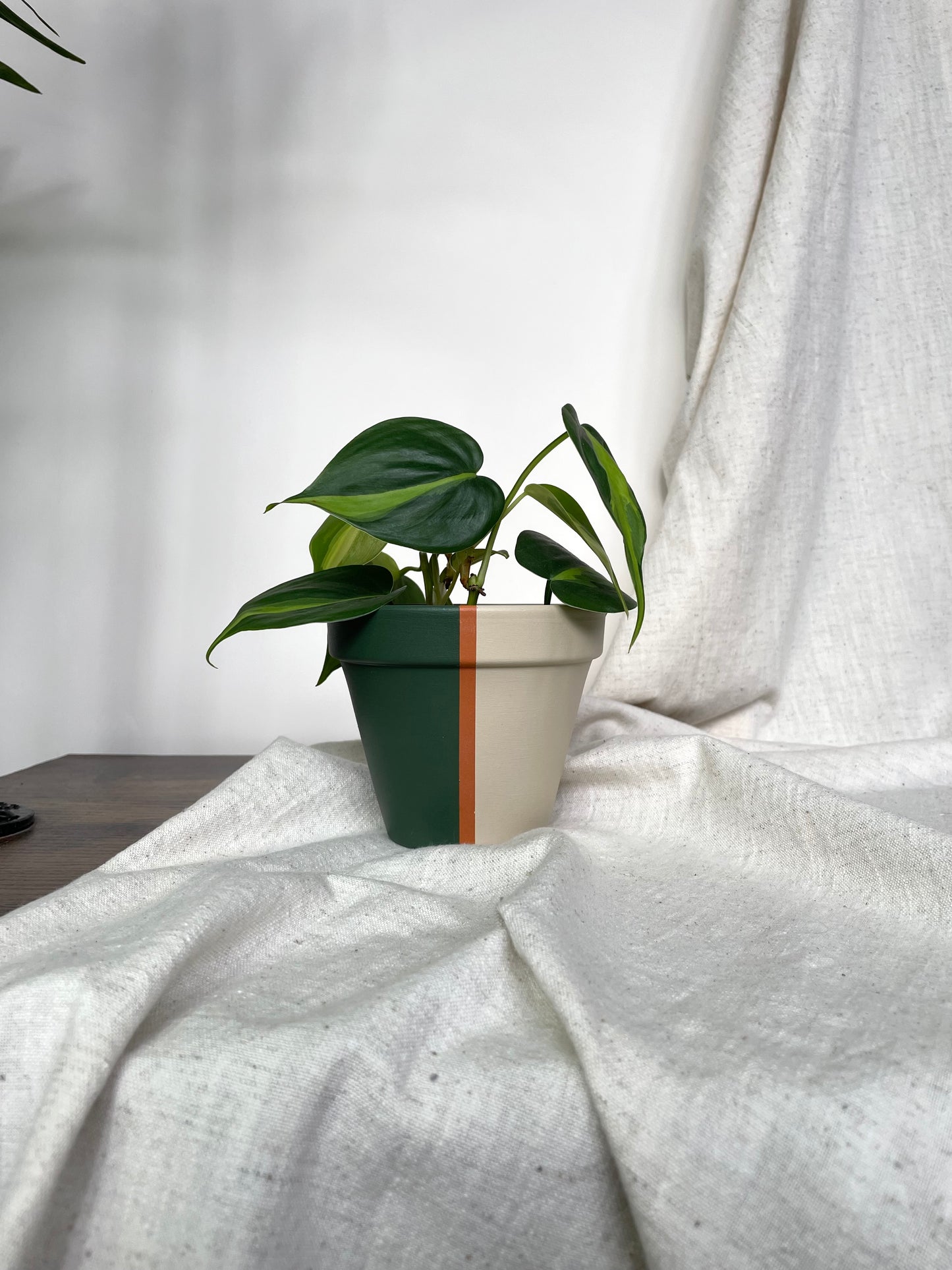 Lola - Hand Painted Plant Pot