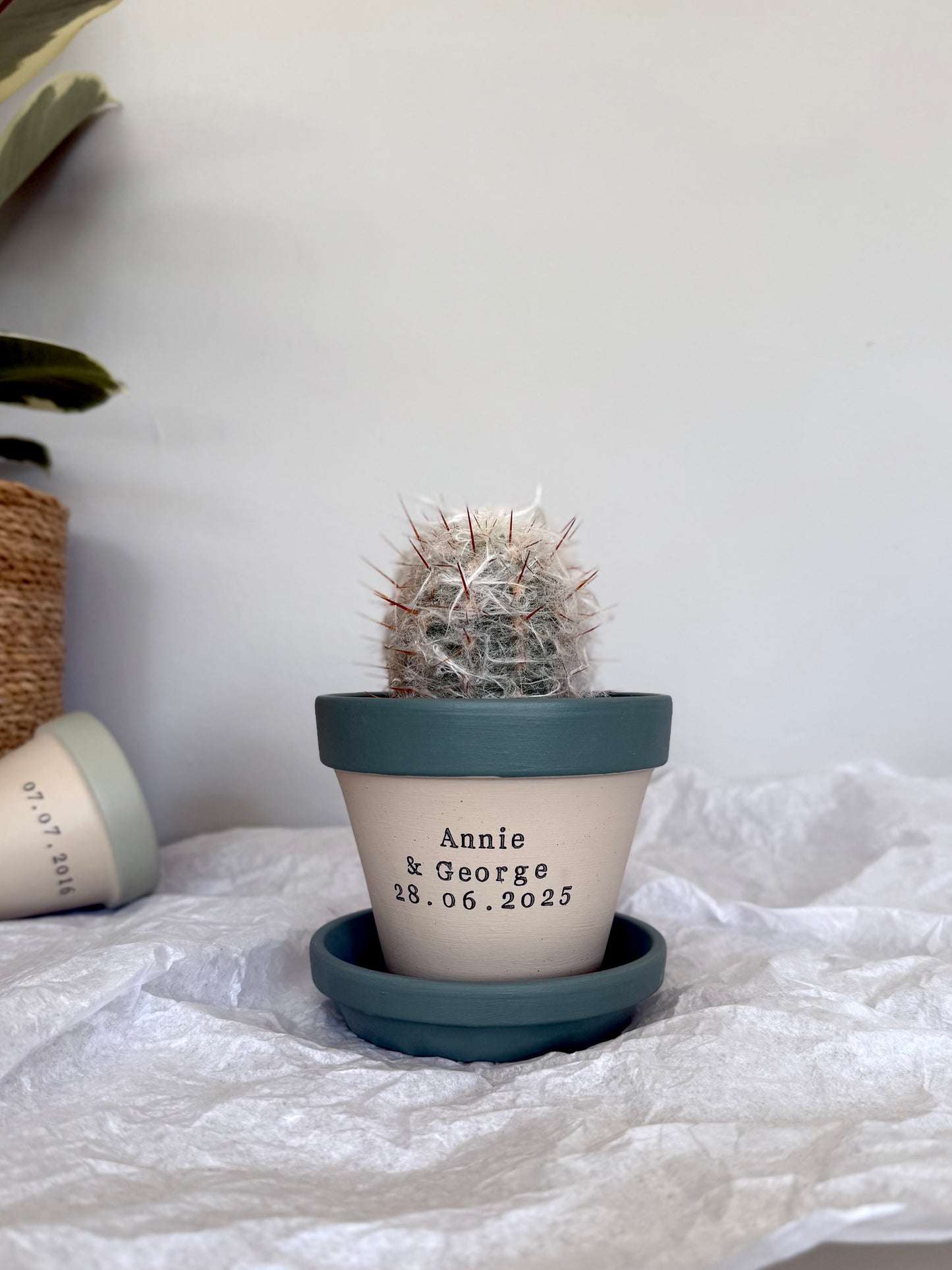 Personalised Anniversary Plant Pot