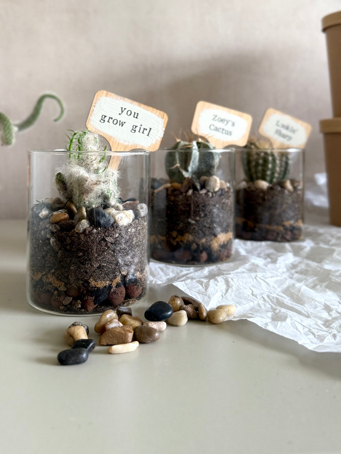 Personalised Cacti Terrarium in Gift Box