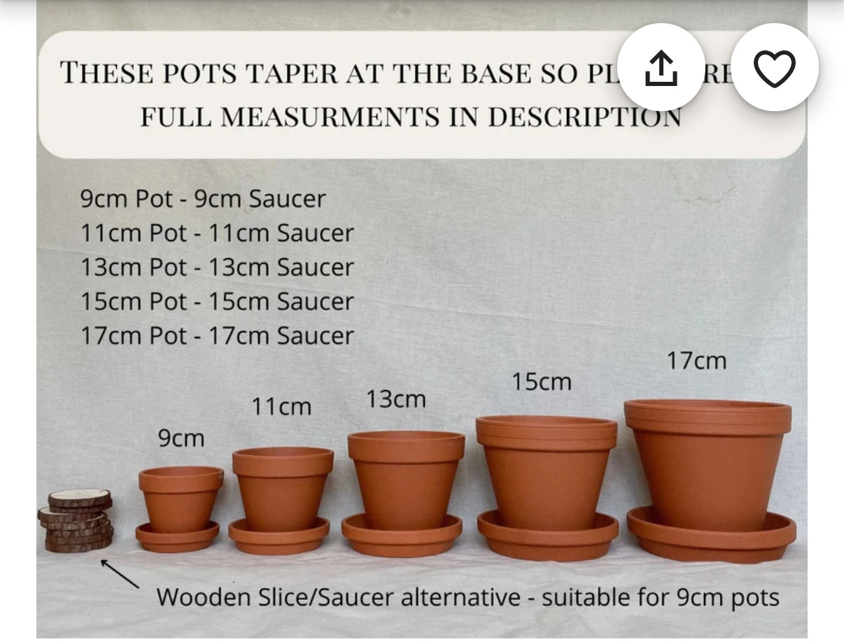 Lola - Hand Painted Plant Pot