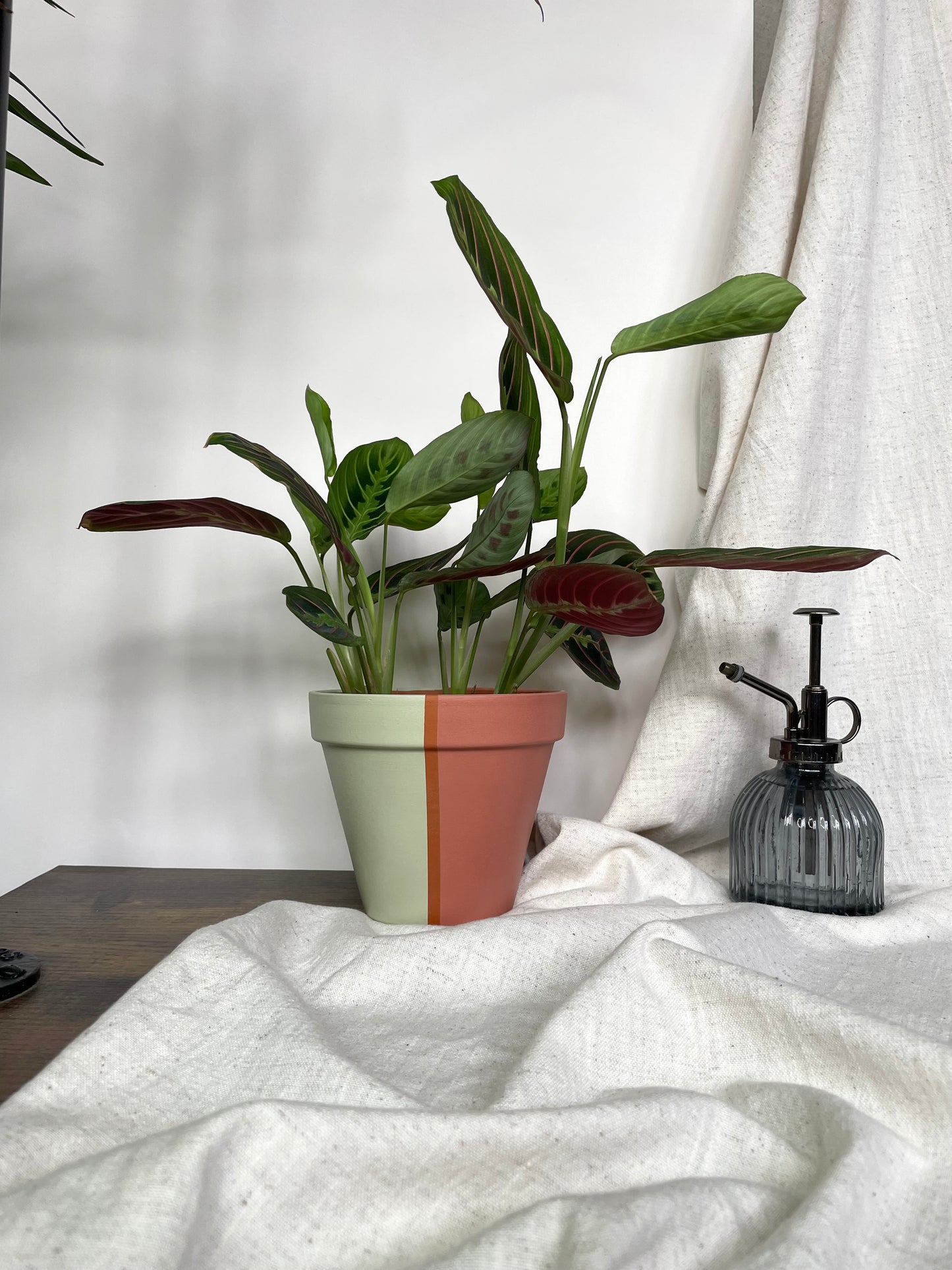 Lola - Hand Painted Plant Pot