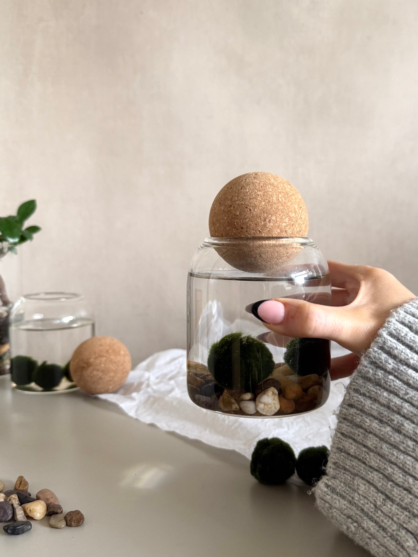Marimo Moss Ball Jar