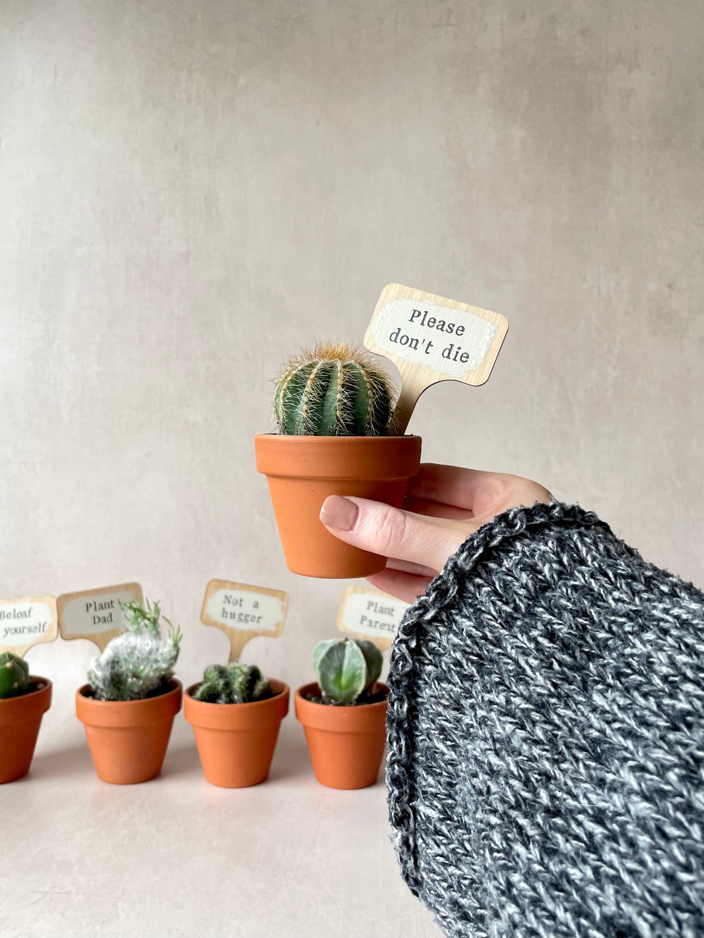 Personalised Plant Markers