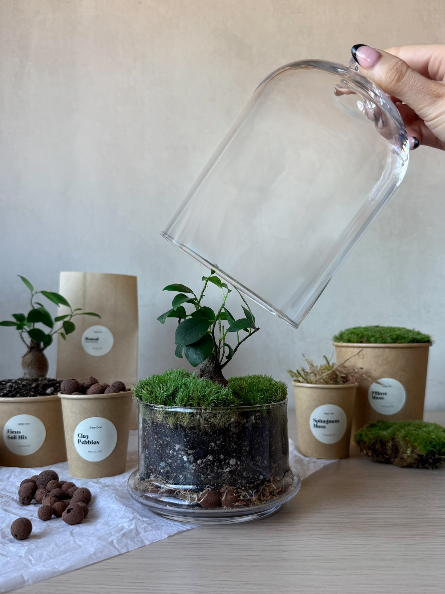 Bonsai Terrarium Kit with Glass Dome - DIY Plant Gift Set