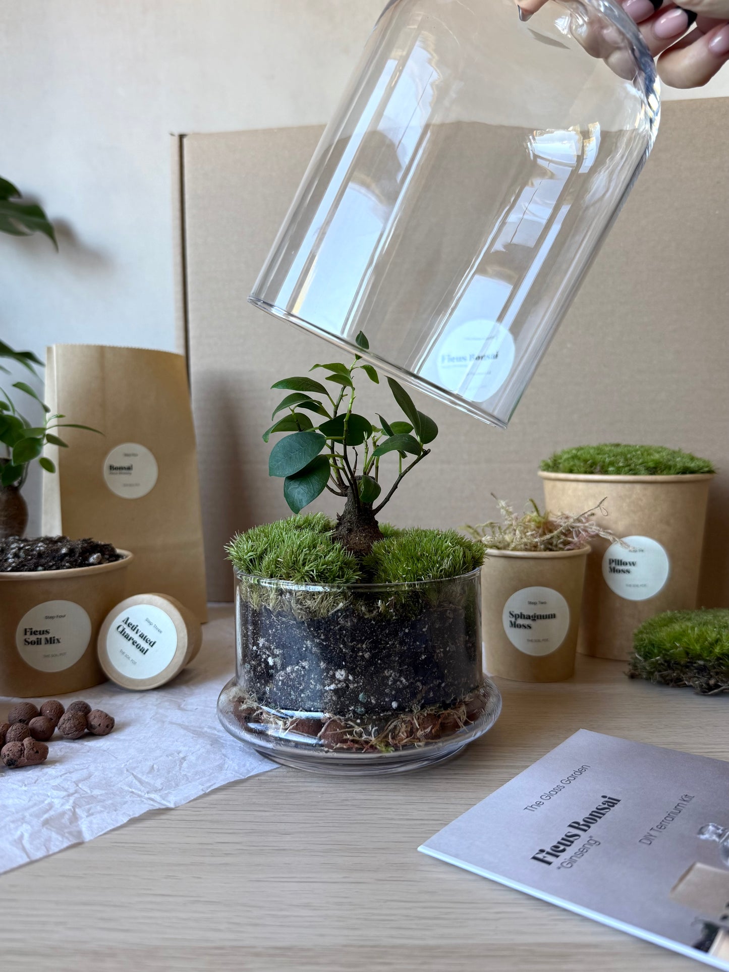 Terrarium being assembled on a table with plants and packaging in the background.
