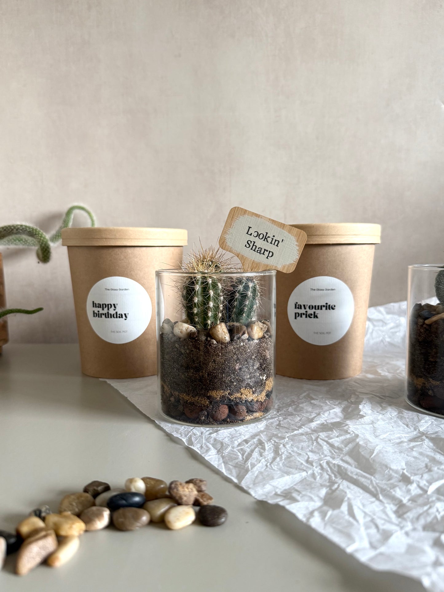 Decorative terrarium with cactus, pebbles, and labeled containers on a neutral background