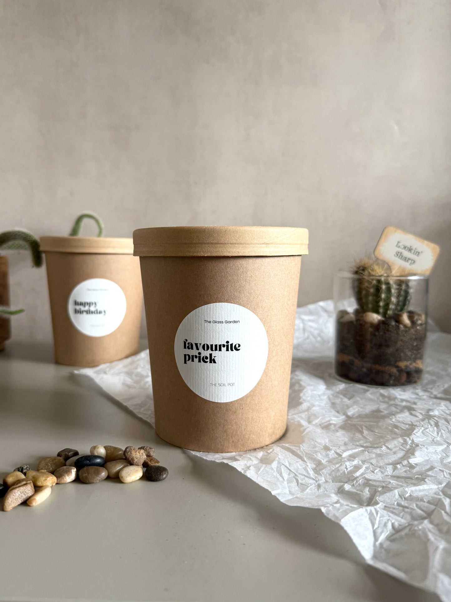 Two cardboard containers with wooden lids on a light surface, surrounded by small stones and a cactus.