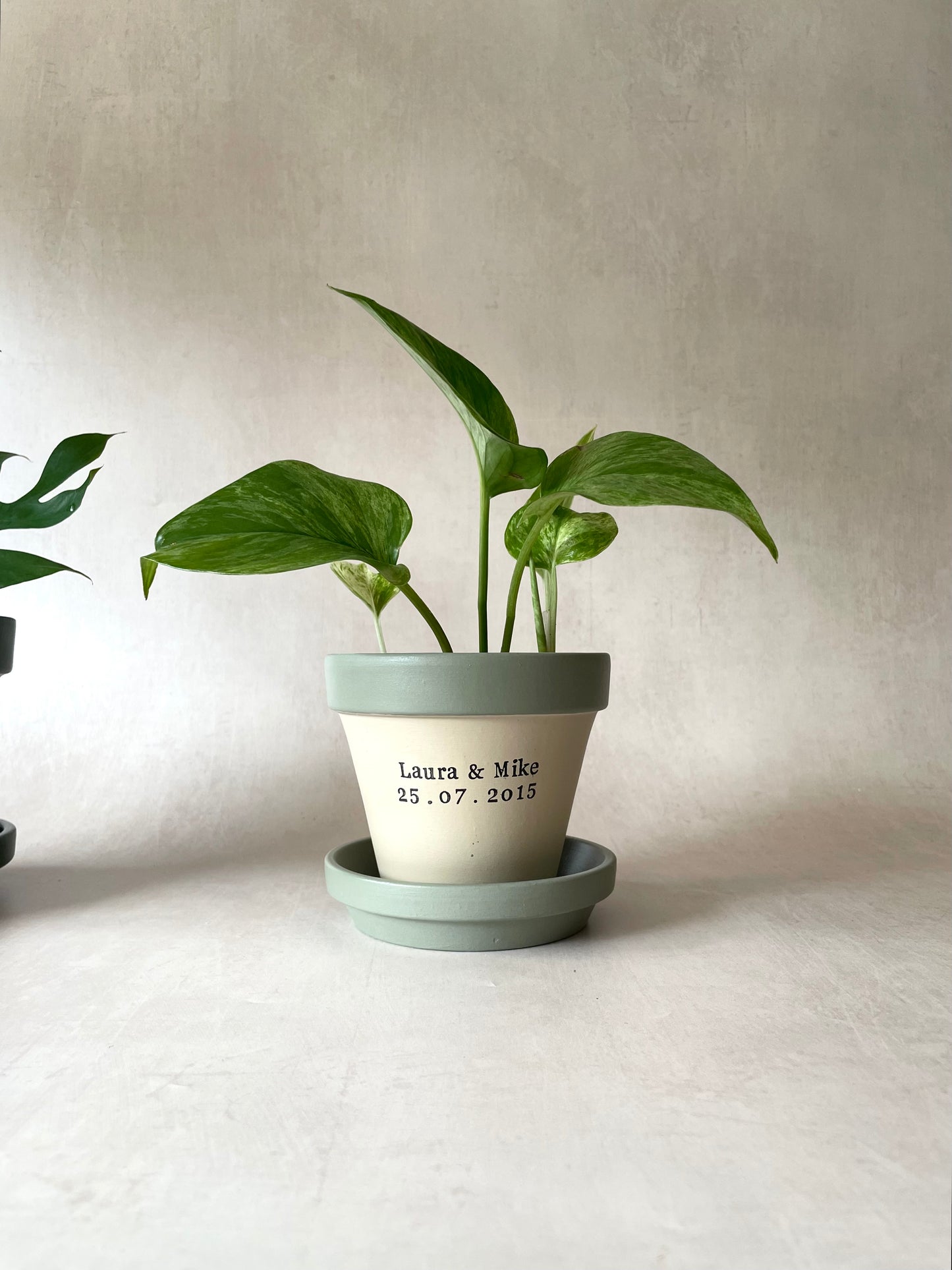 Personalised Anniversary Plant Pot