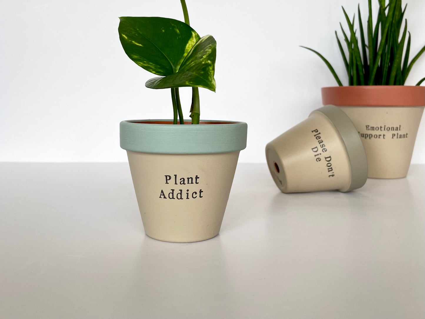 Hand painted plant pots with funny quotes like "Plant Addict", "Please Don't Die", and "Emotional Support Plant". Stylish and humorous indoor planters perfect for plant lovers and home decor.