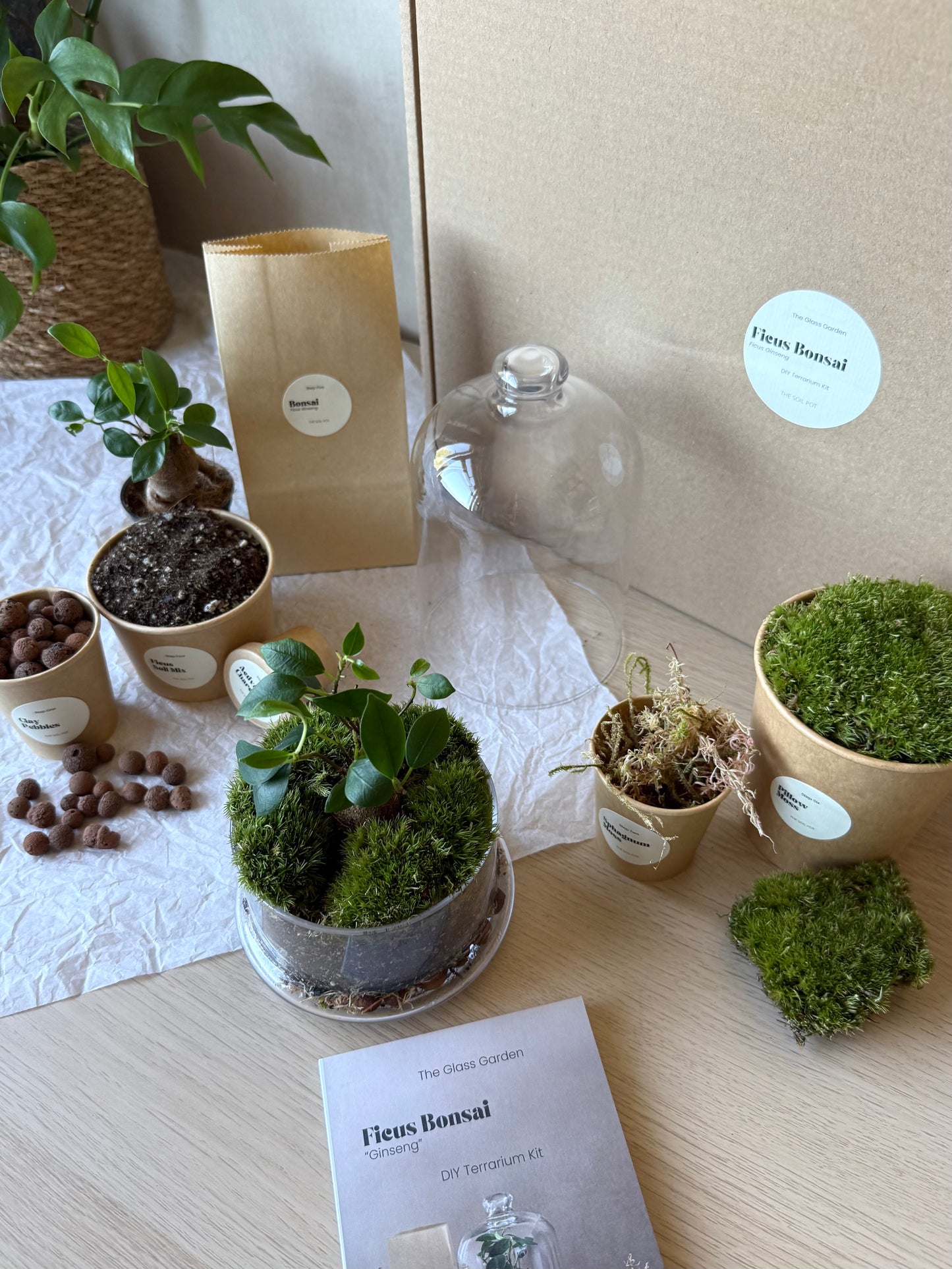 Bonsai Terrarium Kit with Glass Dome - DIY Plant Gift Set
