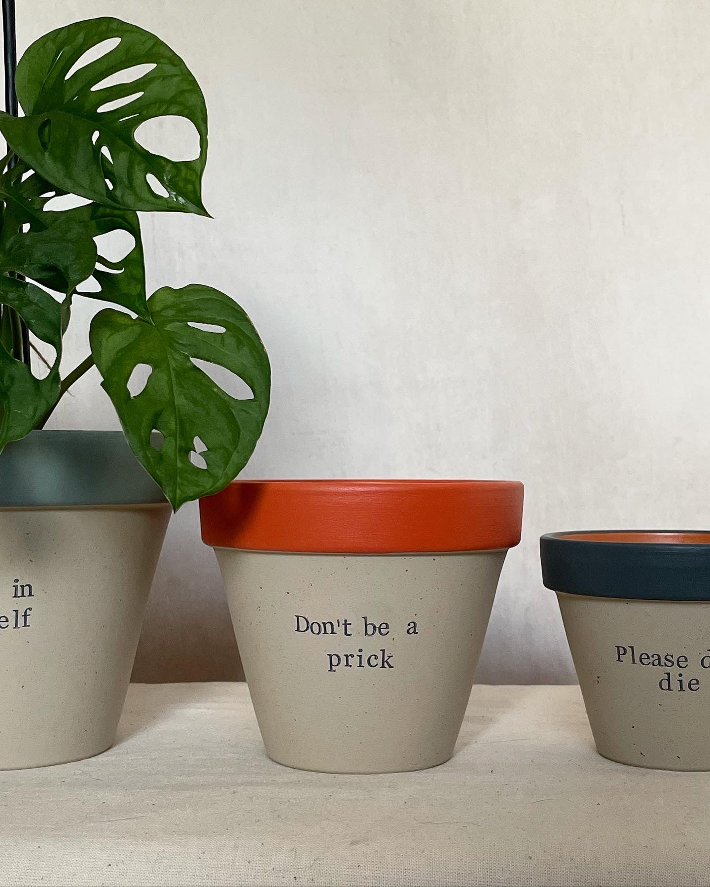 Handpainted terracotta plant pots with humorous text, including "Don't be a prick", displayed with a Monstera adansonii plant. Funny plant pot for indoor decor, houseplants, and gifts.