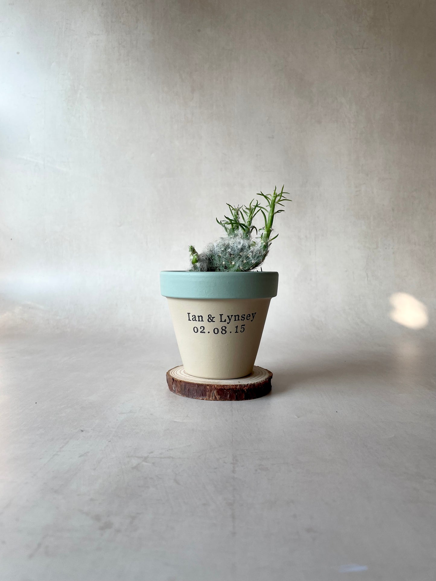 Personalised Anniversary Plant Pot