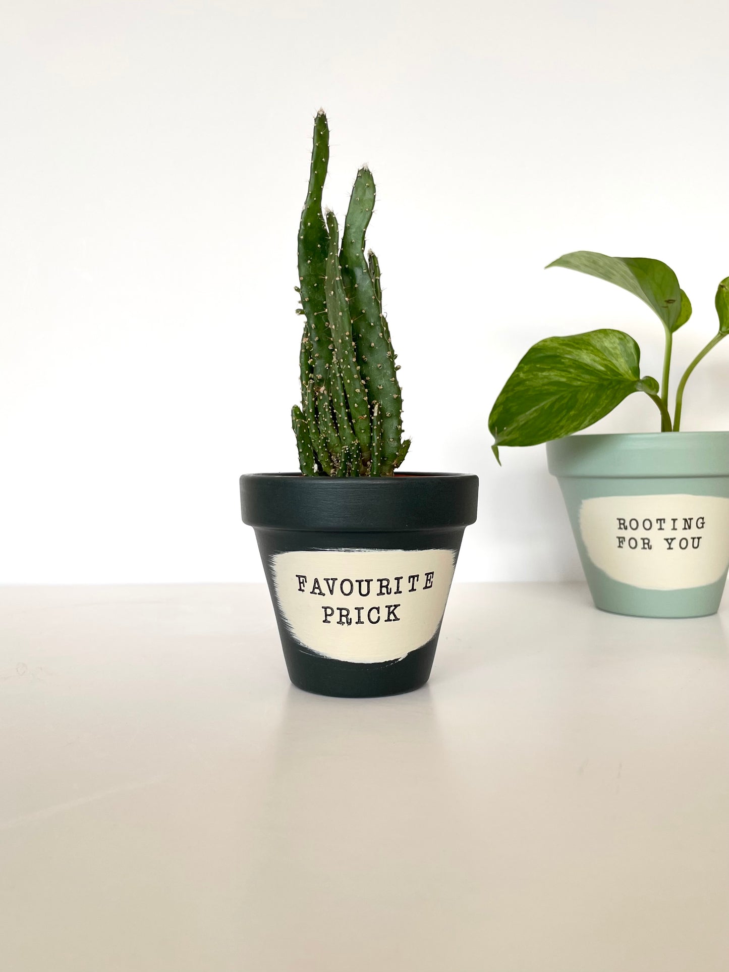 PIPPA - Personalised Pun Pot