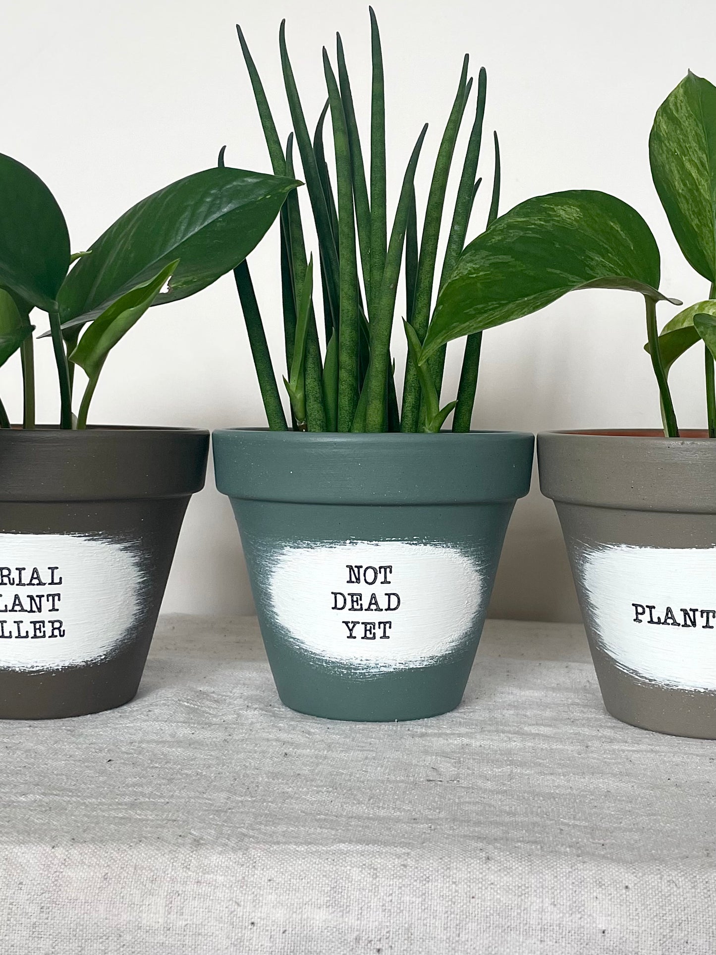 PIPPA - Personalised Pun Pot