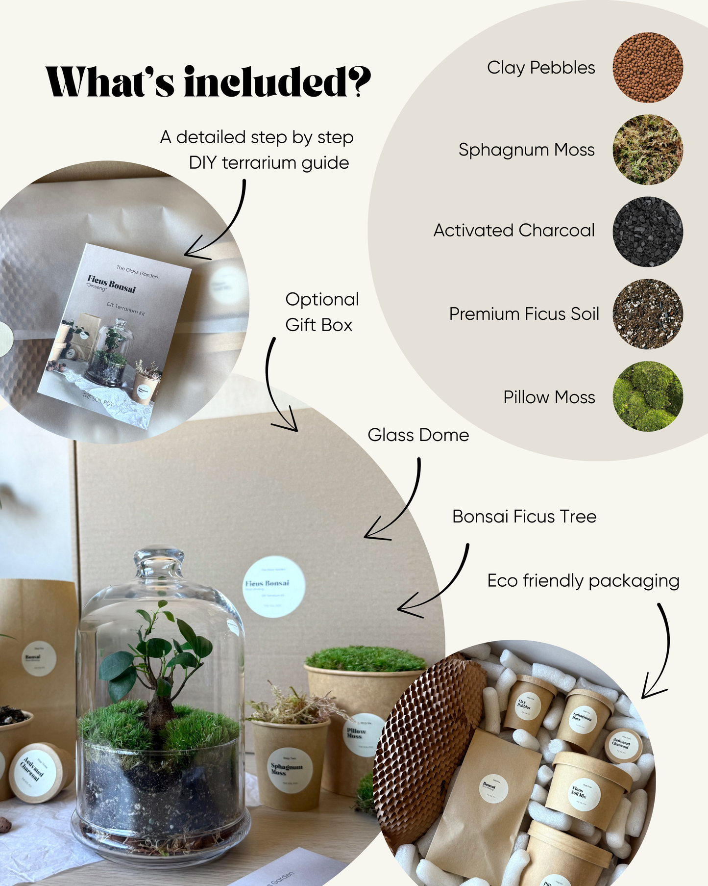 Bonsai Terrarium Kit with Glass Dome - DIY Plant Gift Set