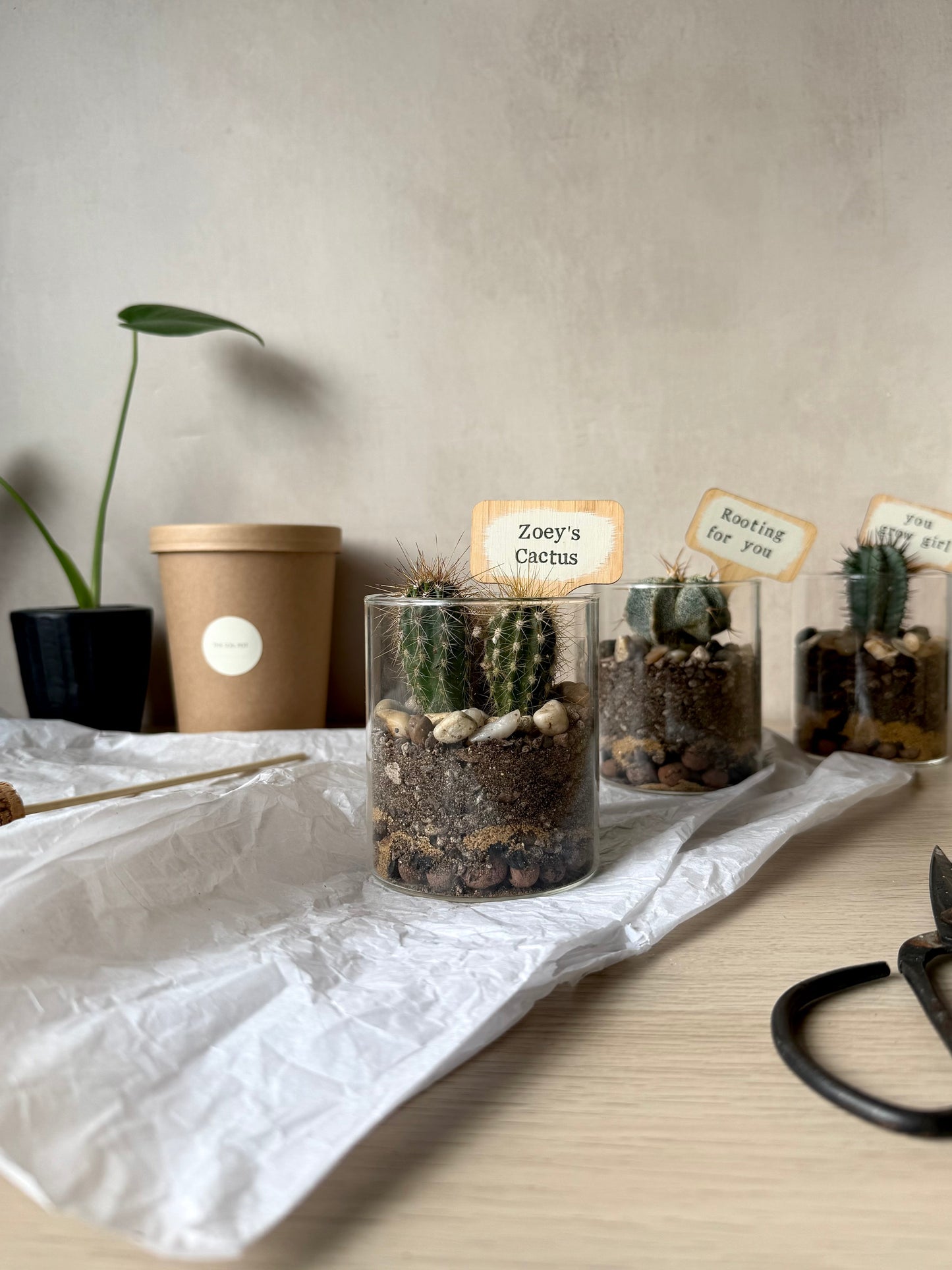 Personalised Cacti Terrarium in Gift Box