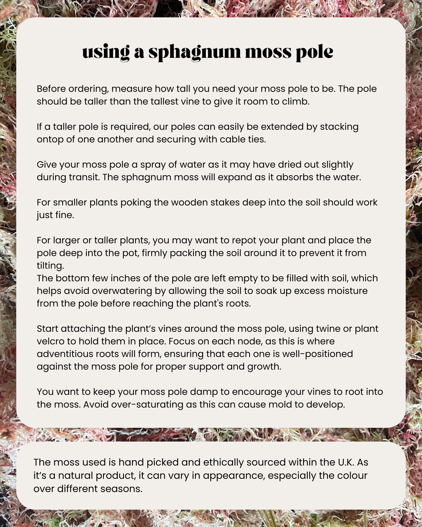 Sphagnum Moss Pole