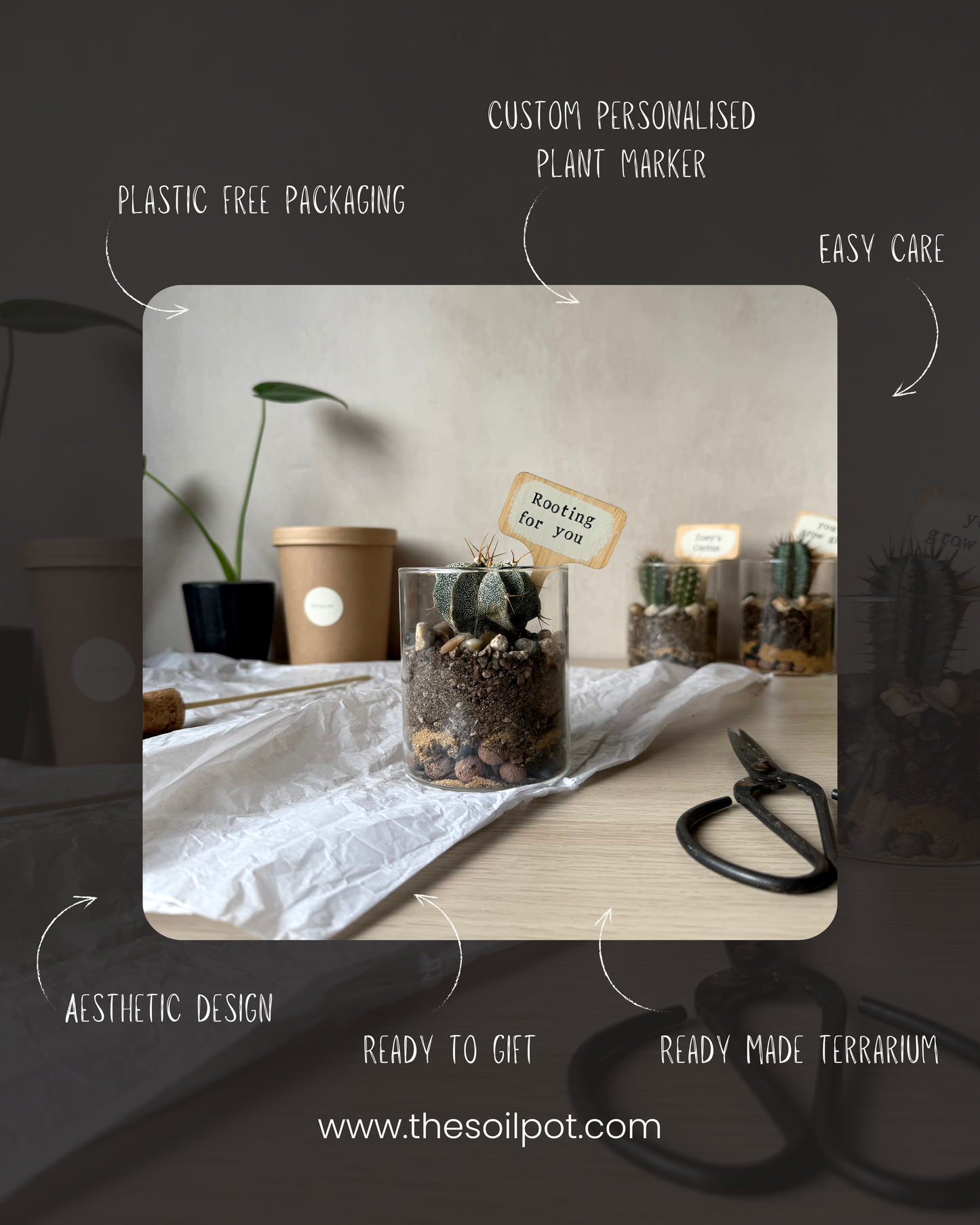 Personalised Cacti Terrarium in Gift Box