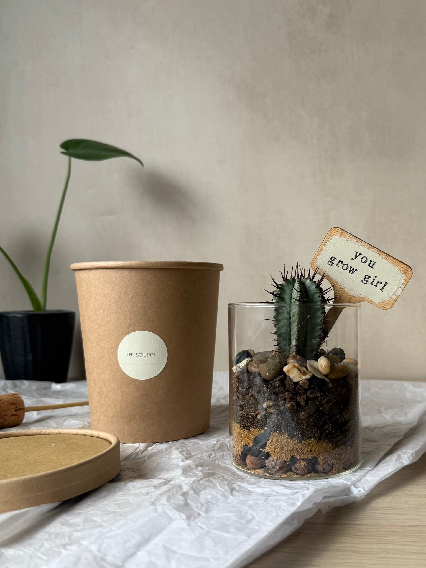 Personalised Cacti Terrarium in Gift Box