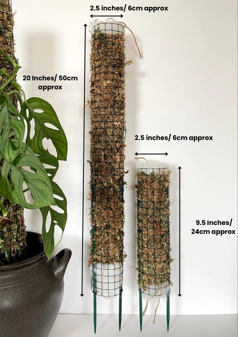 Sphagnum Moss Pole