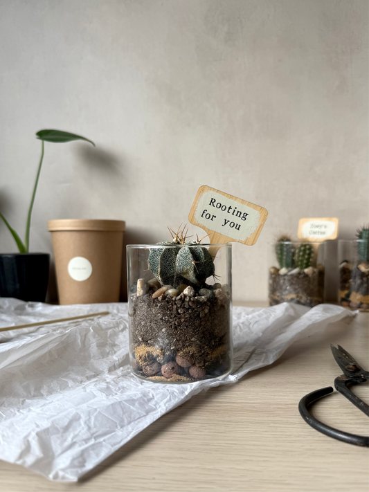 Personalised Cacti Terrarium in Gift Box