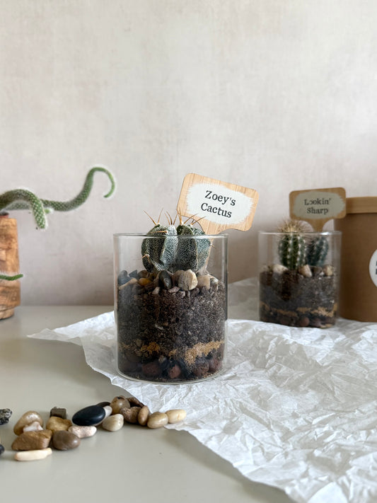 Personalised Cacti Terrarium in Gift Box