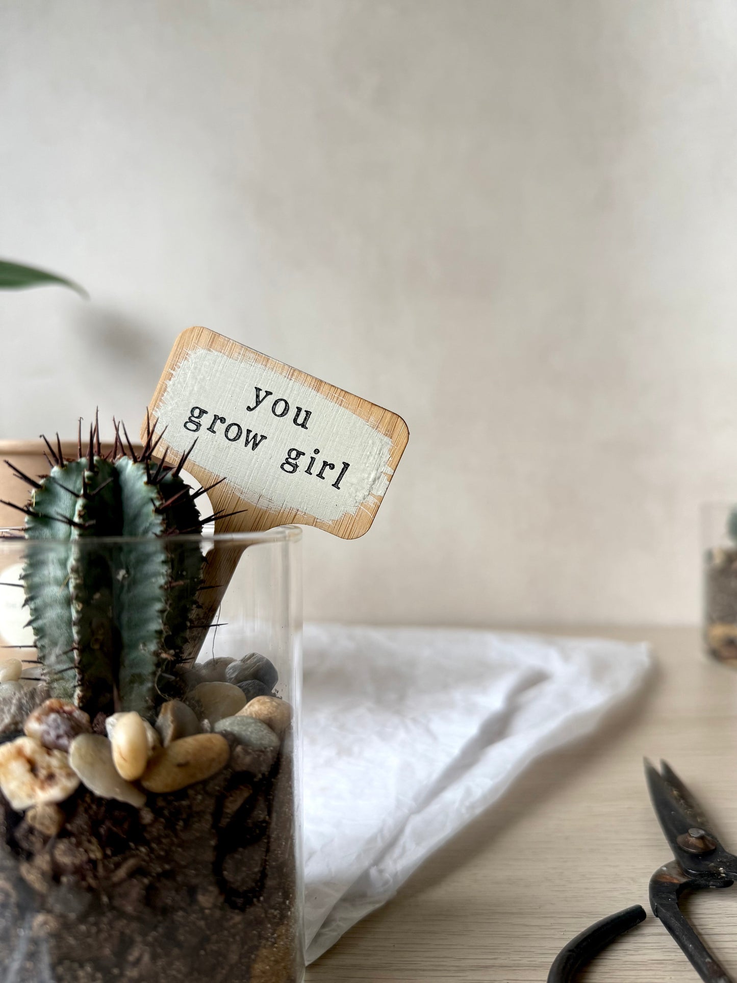 Personalised Cacti Terrarium in Gift Box
