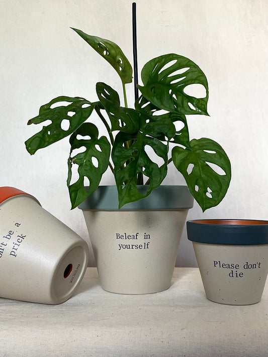POLLY -  Personalised Pun Pot