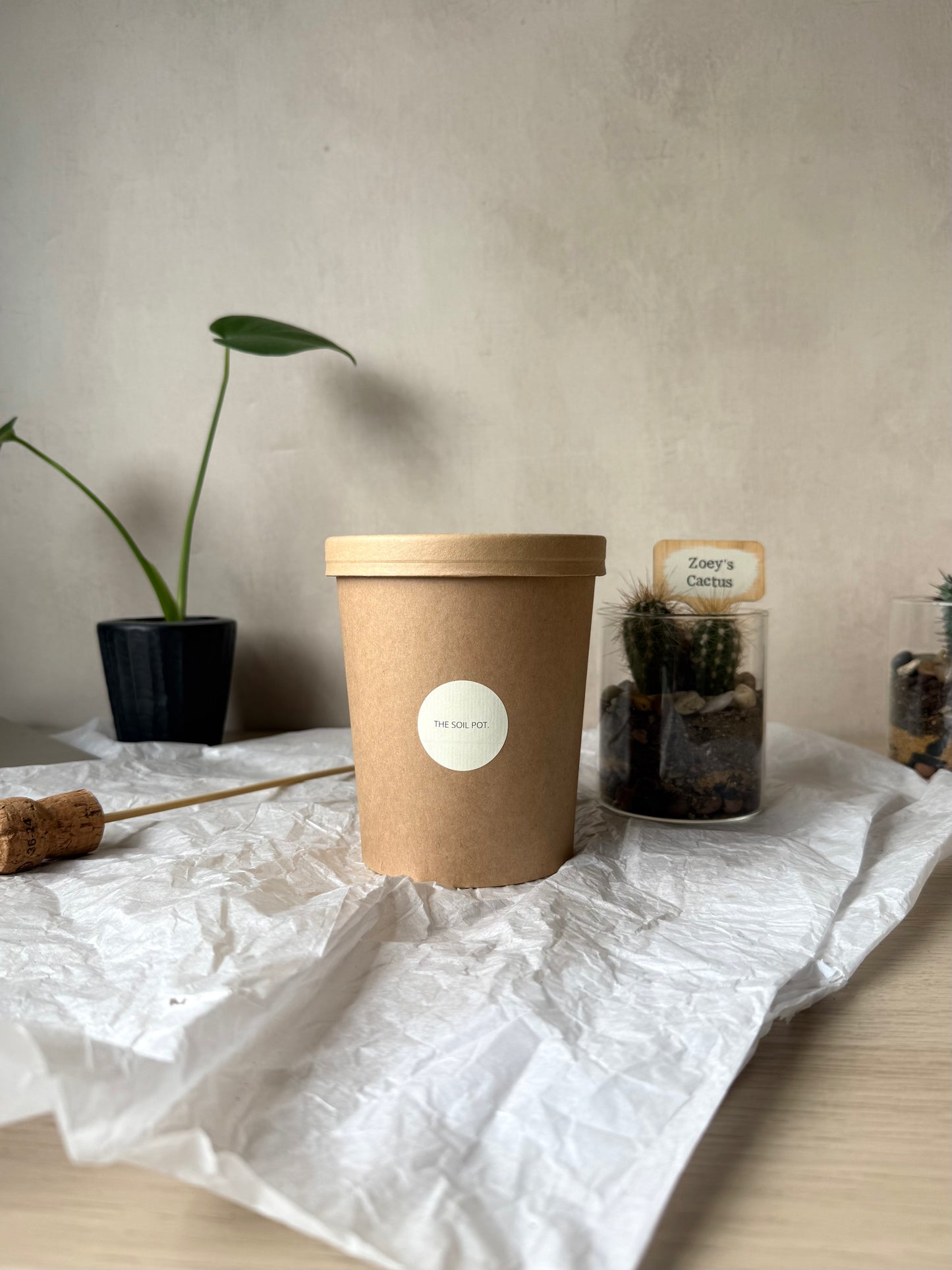 Personalised Cacti Terrarium in Gift Box