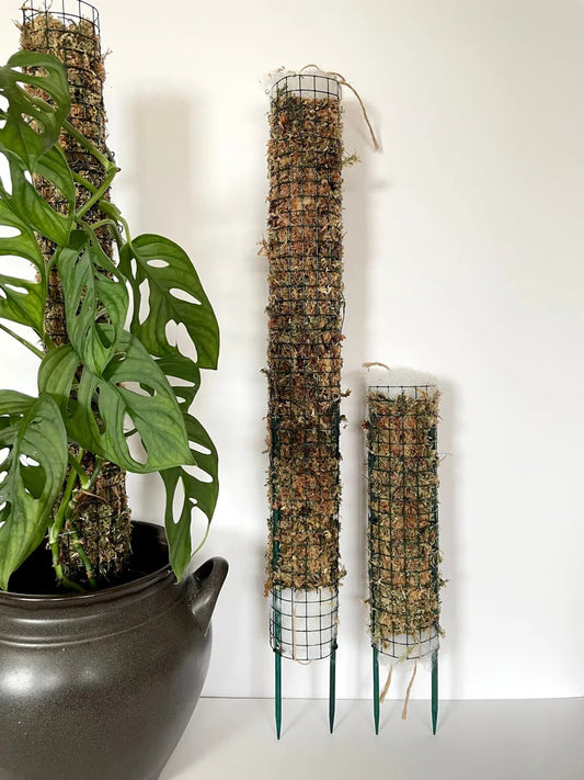 Sphagnum Moss Pole
