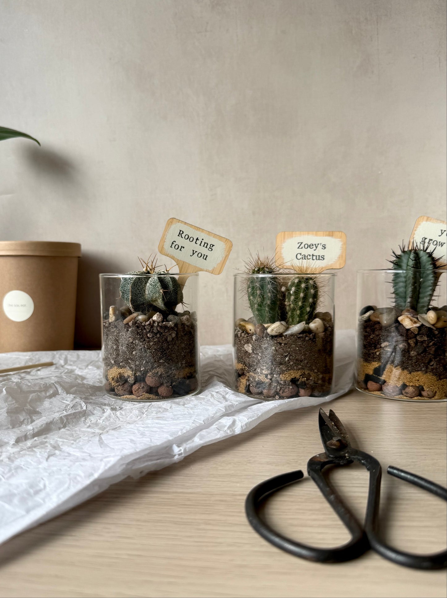 Personalised Cacti Terrarium in Gift Box