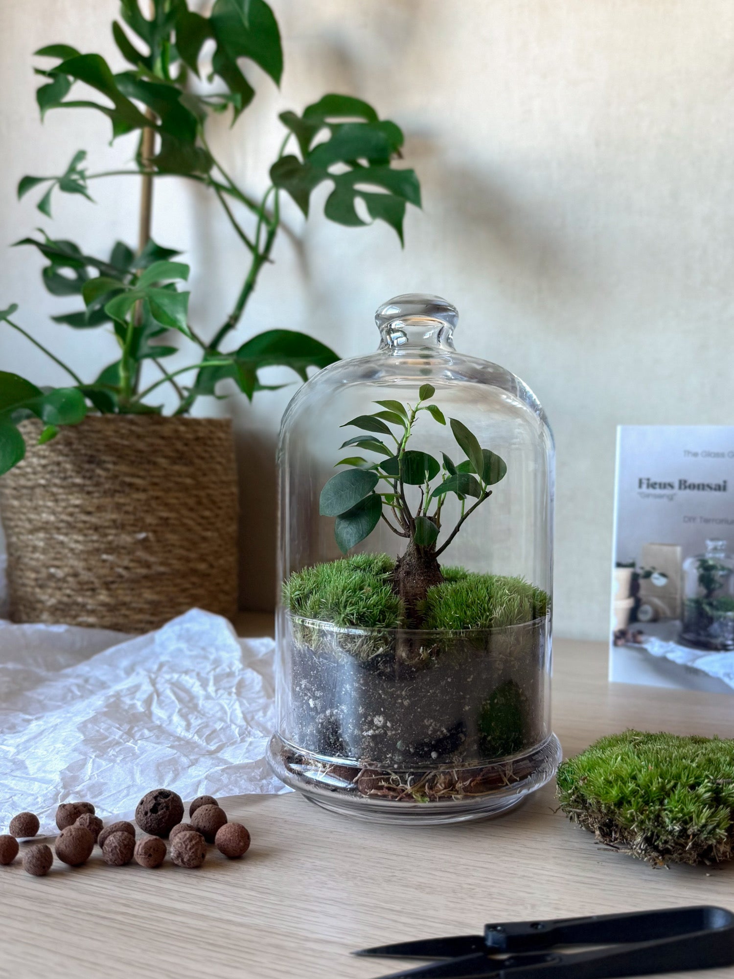 Terrarium with plants inside a glass dome on a table with a blurred background