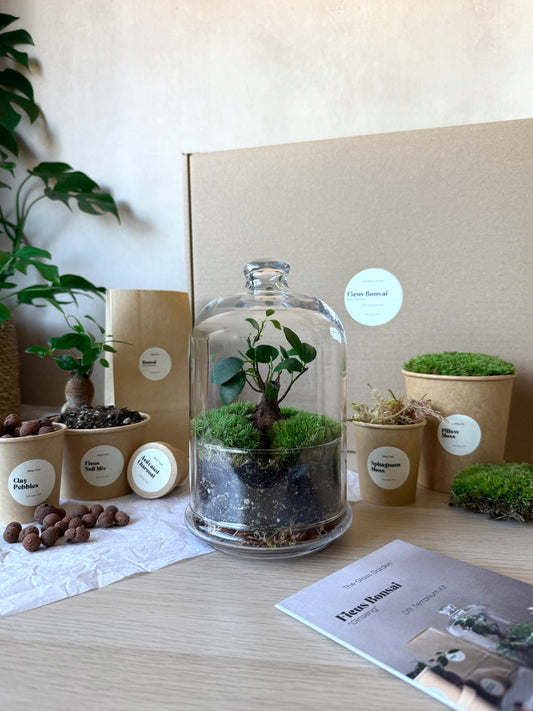 Bonsai Terrarium Kit with Glass Dome - DIY Plant Gift Set