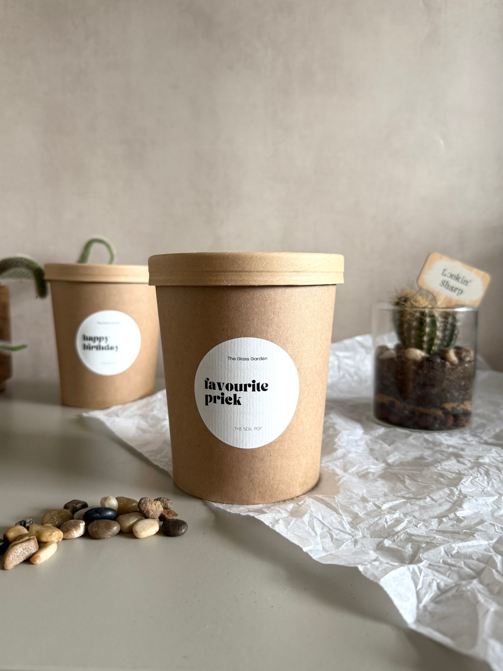 Two cardboard containers with wooden lids on a light surface, surrounded by small stones and a cactus.
