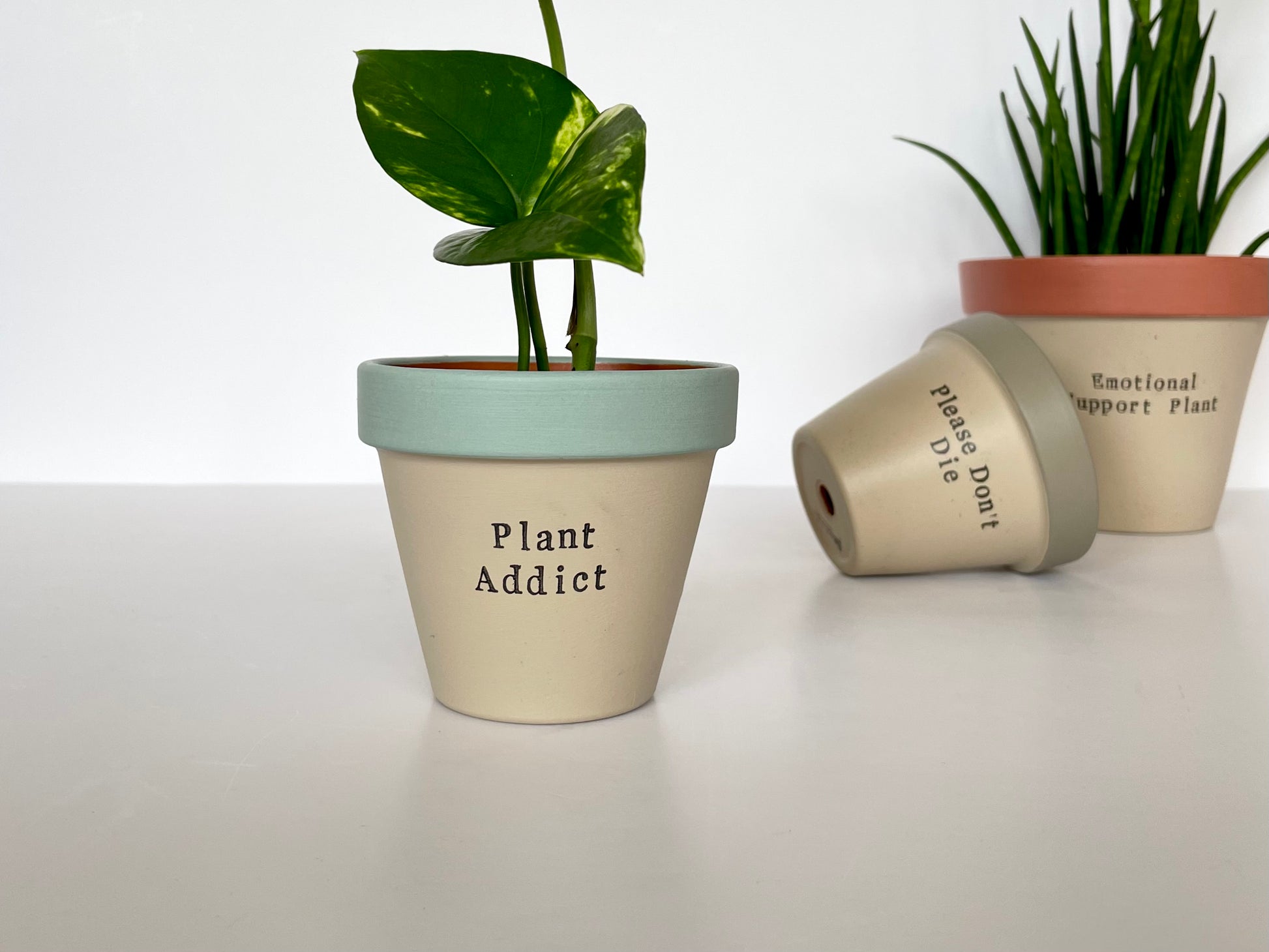 Hand painted  plant pots with funny quotes like "Plant Addict", "Please Don't Die", and "Emotional Support Plant". Stylish and humorous indoor planters perfect for plant lovers and home decor.