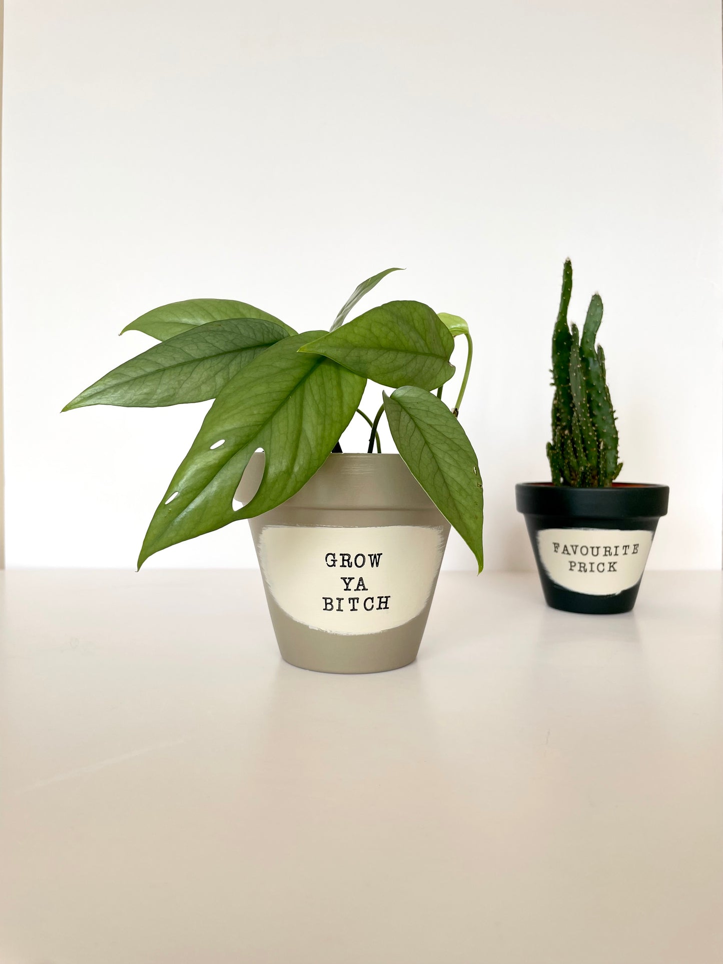 PIPPA - Personalised Pun Pot