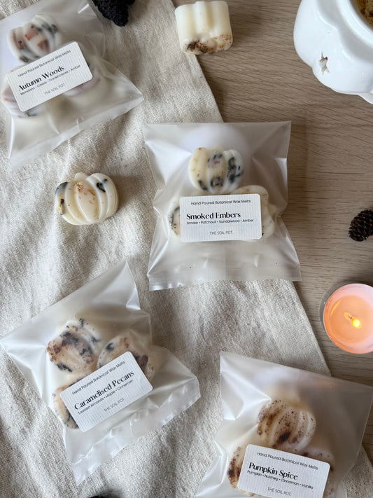 Pumpkin Wax Melts